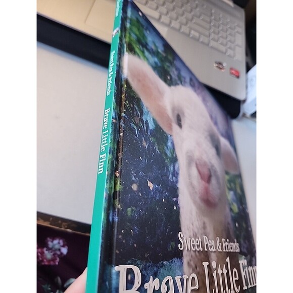 Brave Little Finn by John Churchman and Jennifer Churchman (2016, Picture Book) - Picture 3 of 9